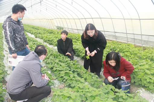 说明: f81e9d690fb37a36156fb3b6fe658df