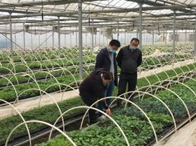 说明: D:\360MoveData\Users\JCL\Documents\Tencent Files\824332973\Image\C2C\977BD3DF960170E26581559F727D39DD.png